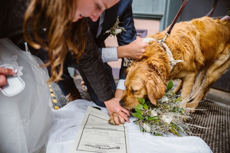 Howell_Howell_Vows-and-Peaks_Emily-Matt-Small-Family-Adventure-Elopement-98_low