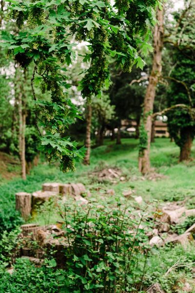 1_Henning_Mollerstuen_Marla-Manes-Photography_backyard-micro-wedding-105_low