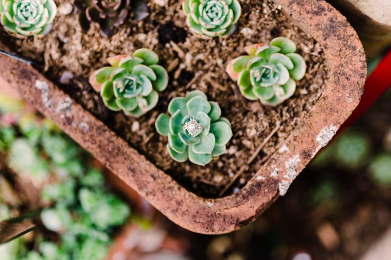 1_Henning_Mollerstuen_Marla-Manes-Photography_backyard-micro-wedding-11_low